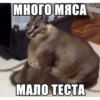 Big Floppa 24