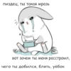RABBITPYL 17
