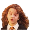 Harry Potter 26