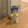 gatintin gatintin 26