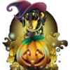 Halloweenie 1 Clásica 29