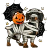 Halloweenie 1 Clásica 30