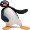 pingumrglider 20