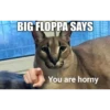 Big Floppa 27