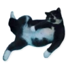 Rare cats 2 22