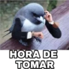 Animales Brazos 1 28