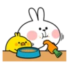 Plump Little Chick 28