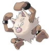 Pokémon 5
