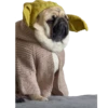 pug_leonid 5