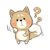 Pretty Puppy 5