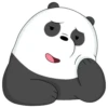 Panda 5