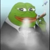 Pepe Gourmet 5