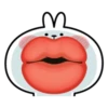 RabbitByManuLinda 7