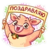 plushik_vk 5