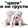 Puppies 6
