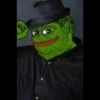 Pepe Gourmet 6