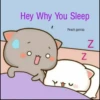 Hey Why You Sleep
Peach.gomaa
Z
Z