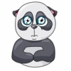 Little Panda 5