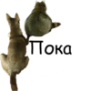Tema 8