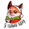 poppy_newyear 8
