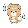 Pretty Puppy 11