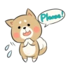 Pretty Puppy 12