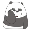 Panda LizF 6
