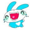 rabbit 6