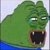 Pepe Gourmet 12