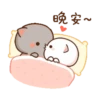 晚安~