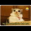 @memer_kanya
Ye itna samajhdar kab hua