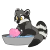 Raccoons 7