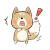 Pretty Puppy 14