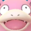 Pokémon Up Close 11