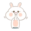 Puffy Bear and Rabbit 2- 10