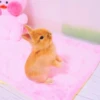 sOft rabbit 14