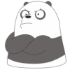 Panda LizF 11
