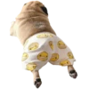 pug_leonid 16