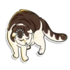 prosto_cats_and_dogs 8
