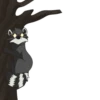 Raccoons 8
