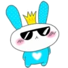 rabbit 8