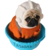 pug_leonid 17