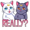 Sailor Moon 15