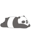 Panda LizF 13