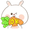 Puffy Rabbit PUDEL 13