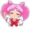 Sailor Moon 17