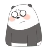 Panda LizF 14
