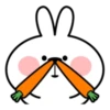 RabbitByManuLinda 15