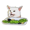 prosto_cats_and_dogs 10