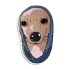 prosto_cats_and_dogs 11